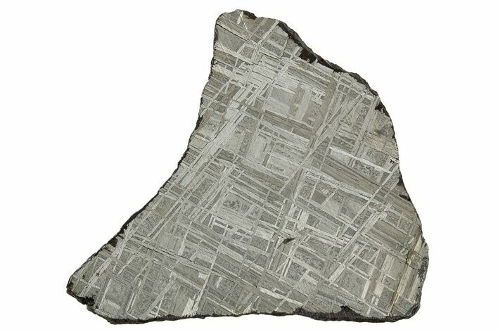 Etched Muonionalusta Meteorite Slice (g) - Sweden #311200